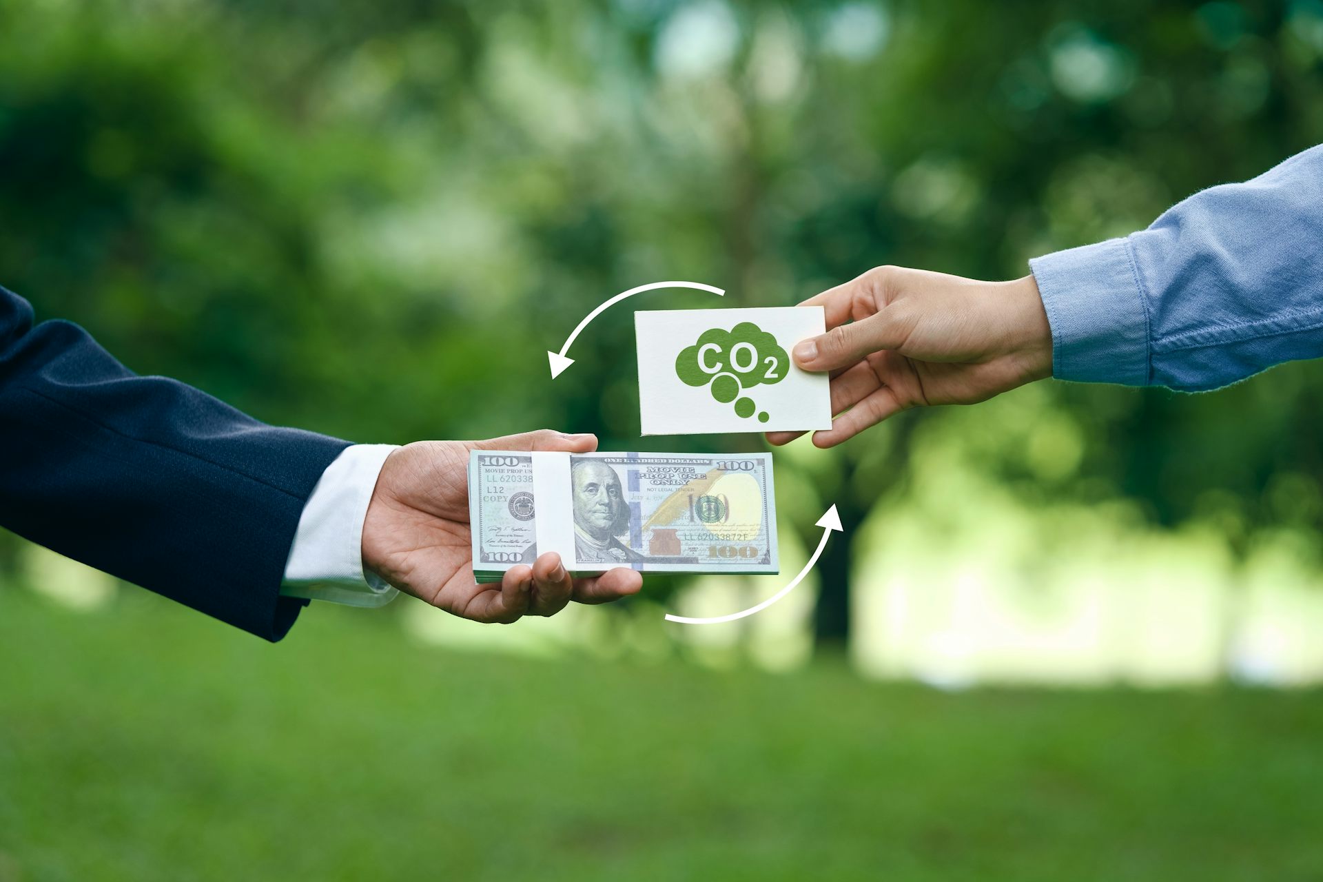 Data-Driven Systems: Measuring Real-Time Carbon Capture